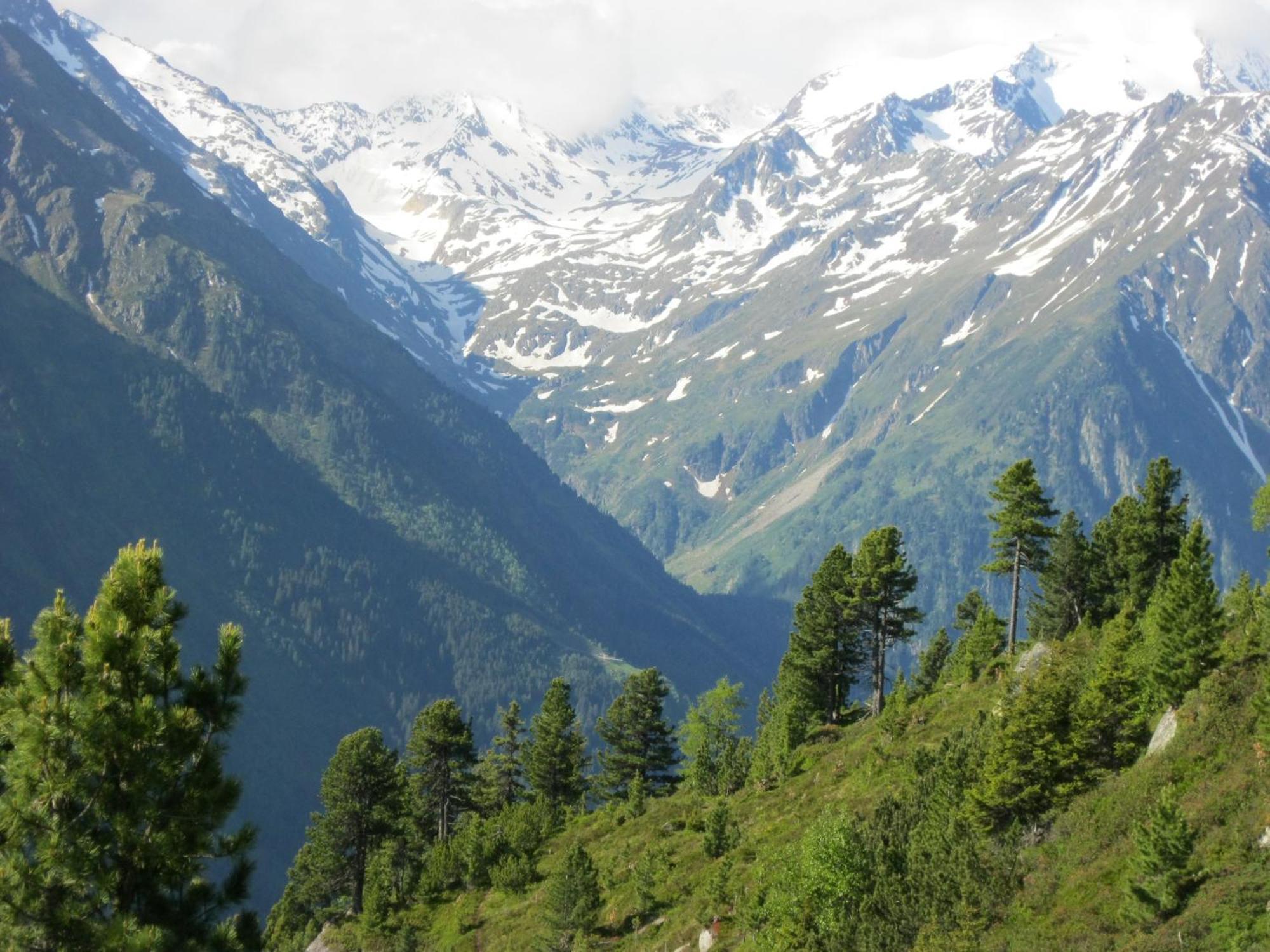 Ferienhaus Stubai Neustift im Stubaital Ngoại thất bức ảnh