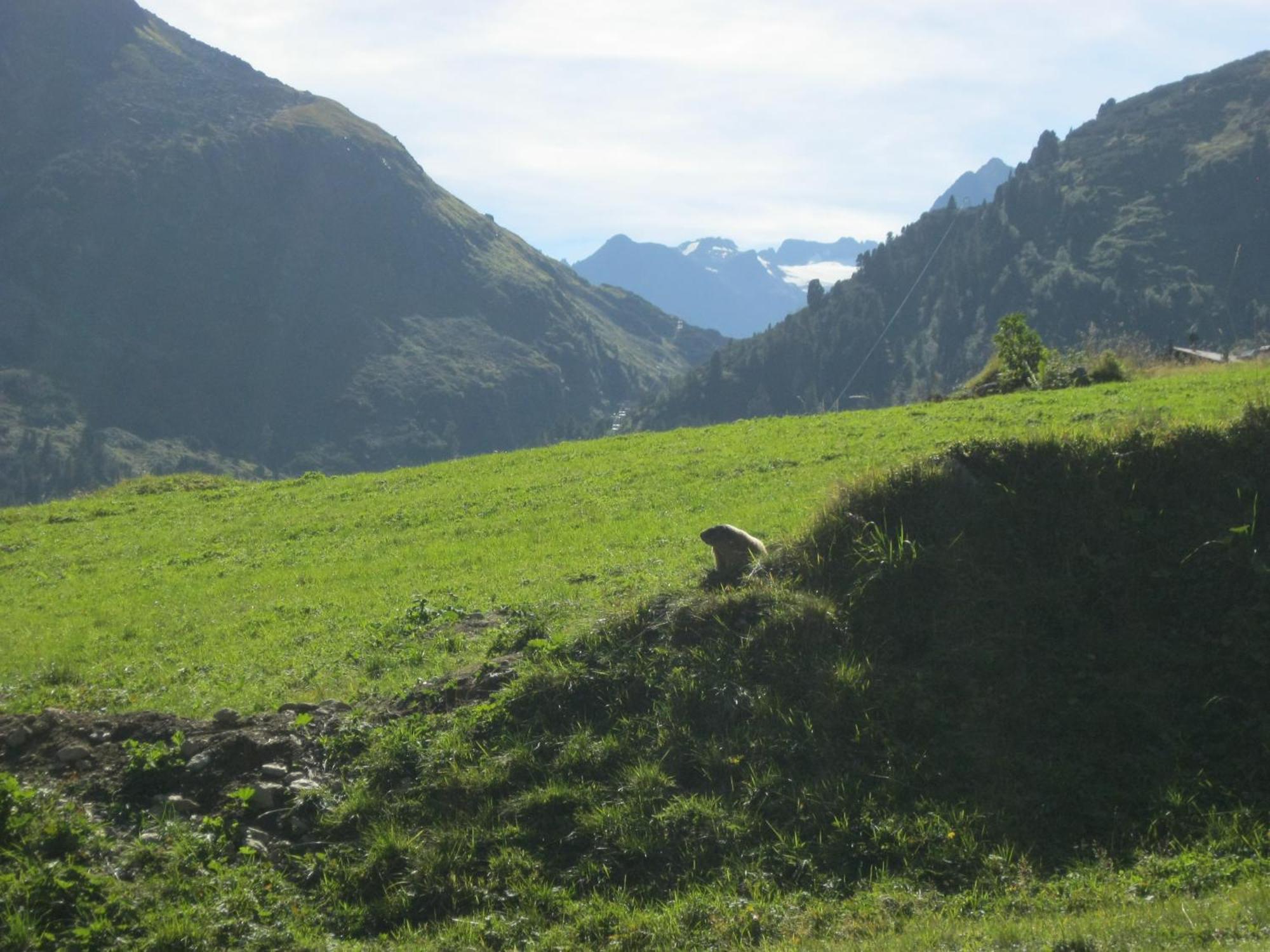 Ferienhaus Stubai Neustift im Stubaital Ngoại thất bức ảnh